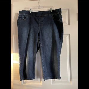 COPY - Jean Capris 18w Gloria Vanderbilt